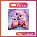 Hsenjt 5D Diy Diamond Art Kits For Adults,owls With Full Tools Acces. Fixed Price $14.19.