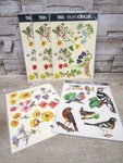 New Unused Vintage Euro Decal Meyercord Floral Birds Water Slide Transfers. Fixed Price $15.00.