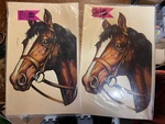 2 Vintage Meyercord Decals Horses 1503-A Original Package Wheaton Illinois. Fixed Price $25.00.