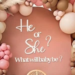 She Gender Reveal Decorations Large Felt Letters Sign Baby Shower White. Fixed Price $26.49.