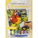 Royal & Langnickel(r) Small Paint By Number Kit 8.75"X11.75"-MAJESTIC Macaws. Fixed Price $9.99.
