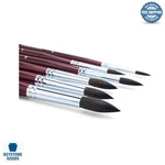 Transon Squirrel Hair Round Paint Set 6 Short-handle Art Brushes For .... Fixed Price $37.67.