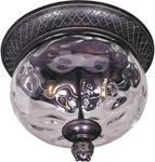 Maxim Lighting Carriage 2-LIGHT Fixture Oriental Bronze Aluminum Fini.... Fixed Price $394.44.