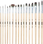 Transon 16 Pcs Artist Brush Set Versatile For Acrylic Painting Watercolor. Fixed Price $11.99.