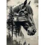 Senqao Horse Diamond Art Painting Kits For Adults, Full 12" X 16", - 01. Fixed Price $15.44.