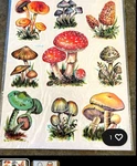 Vintage Meyercord Decorator Decals Retro Mushrooms 1520-D Wall Anywhere. Fixed Price $13.25.