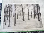 Tri Chem Ready To Paint Craft Liquid Embroidery 7476 Country Paths Trees Forest. Fixed Price $19.99.