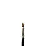 Dynasty #2158 Fine Red Sable Oil Brush Flat Size. Fixed Price $8.99.