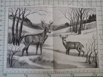 Tri Chem Picture Craft Liquid Embroidery 0893 Doe & Buck Deer Winter Hunting. Fixed Price $19.99.