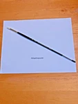 Princeton Brush Company Dakota Filbert 2 Long-handle #6300FB For Acrylics New!. Fixed Price $17.00.