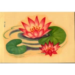 Vintage Meyercord Decal #825B Water Lily Lotus Floral Pond. Fixed Price $7.97.