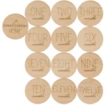 Baby Monthly Milestone Wooden Circles, Set Of 13 Photo Props Woodpeckers. Fixed Price $17.39.