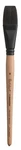 Princeton Catalyst Polytip Brush-short Handle Flat Shader Size 12 5A00304B-1H1. Fixed Price $26.47.