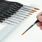 Kolinsky Sable Paint Brush Set Professional 10 Sizes Miniature Detailing Art. Fixed Price $23.99.