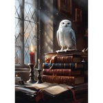 Qenspe Owl Diamond Painting Kits For Adults, Library 30X40 Cm, Multicoloured. Fixed Price $14.90.