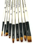 Robert Simmons: Simply Paint Lot - 9 Brushes Various Size & Style. Fixed Price $49.94.