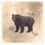 Black Bear Animal Tile Overglaze Waterslide Ceramic Decals. Fixed Price $5.00.
