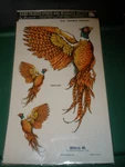 New Vintage 1981 Decorcal Hand Painted Sports & Wildlife Bird Pheasant Decal W20. Fixed Price $16.99.