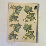 Vintage Unused Meyercord Decals Floral Ivy Print Design Kitchen Bathroom Decor. Fixed Price $9.99.