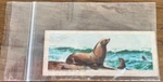 1963 American Zoo Animals Series Welch's Sugar Daddy Sucker Inserts #5. Fixed Price $19.99.