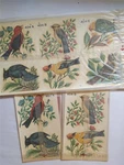 Duro Co. Decorative Wild Birds Set Of 3 Sheets Water Slide Decals. Fixed Price $24.50.