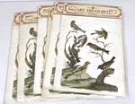 Lot Of 6 Vtg. 1970 Paillou Birds Prints Decoupage, Framing, Crafts- 12" X 10". Fixed Price $15.00.