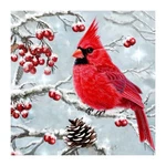 Diamond Painting Kits For Adults, Winter Cardinal Art Beginners. Fixed Price $13.99.