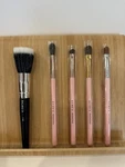 Echo Natural Goat Hair Eyeshadow Contour &concealer Stippling Makeup Brush Set. Fixed Price $19.99.