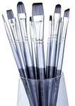 Adis&guys 10-PIECE Professional Face Body Painting Brush Set Pcs, Gray. Fixed Price $11.88.