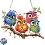 Vodapyc Bird Diamond Art Hanging Kits For Adults, Diy Double Sided Special Sh. Fixed Price $27.99.
