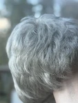 Paula Young Sara Wig Gray Silver Short Layered Synthetic Open Box Unworn. Fixed Price $14.95.