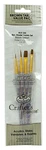 Royal Crafters Choice Brush Sets Brown Taklon Artist (filbert,round,shader Etc). Fixed Price $6.99.