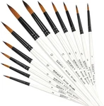 Dainayw 12 Pcs Round Paint Brushes Set, Artist Standard, White. Fixed Price $11.79.