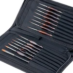 Transon Artist Detail Paint Brushes With Case 15PCES For Mod. Fixed Price $25.09.