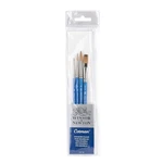 Winsor & Newton Cotman Short Handle Brushes, Set Of 4, Round 1. Fixed Price $41.99.