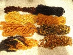 Lot 10 Raw Genuine Baltic Amber Necklaces 13 Inch - Choose Your Color !!!. Fixed Price $53.99.