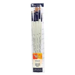 Simply Simmons Long Handle Brush Sets Synthetic Of 5. Fixed Price $14.61.