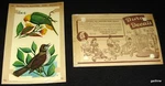 Wild Birds 2 1940S Sheets In Package Duro Decorative Transfers. Fixed Price $13.00.