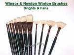 Winsor & Newton Winton Oil Acrylic Brushes - Brights Fans Pick Choose. Fixed Price $8.29.