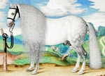 12272.DECORATION Poster.room Interior Wall Art Decor.white Horse Painting.equine. Fixed Price $31.00.
