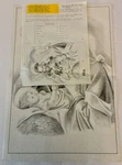 Vintage Tri-chem Unpainted Picture Jesus Mary Joseph Nativity Liquid Embroidery. Fixed Price $15.99.