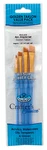 Royal Crafters Choice Brush Sets Gold Taklon Artist (filbert,round,shader Etc). Fixed Price $6.99.
