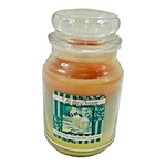 Yankee Candle Tis The Season Cinnamon Spice Christmas Tree Candy Cane Tri-color. Fixed Price $24.99.
