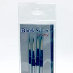 Dynasty Black Silver Paint Brush Set BS-SH-4 (4) 32884. Fixed Price $9.99.