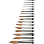 Winsor & Newton Series 7 Watercolor Brush, Size #2. Fixed Price $50.39.