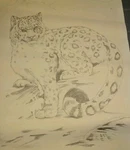 * Tri Chem 2216 Snow Leopard Suede Ready To Paint Picture 18X24". Fixed Price $17.25.