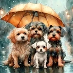 Diamond Painting Kits For Adults, Dog Art Beginners, 5D Diy Ful. Fixed Price $13.99.