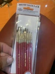 Royal Langnickel Camel Value Pack Brush SET-10/PKG -9153. Fixed Price $15.99.