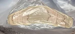 Nos Us Army Molle Ii Molded Waistbelt Desert Tri Color Nsn 8465-01-491-7429. Fixed Price $25.00.