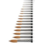 Professional Kolinsky Sable Brush #0 By Winsor & Newton - Crafted For Excellence. Fixed Price $46.14.